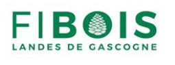 logo fiboislandes
